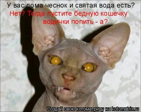 Котоматрица на Пятницу
