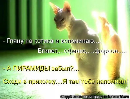 Котоматрица на Пятницу