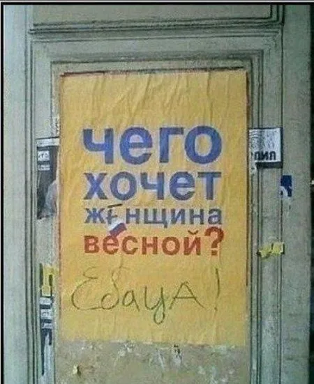 Смешные надписи и объявления (31 фото) Смешные надписи и объявления (31 фото)