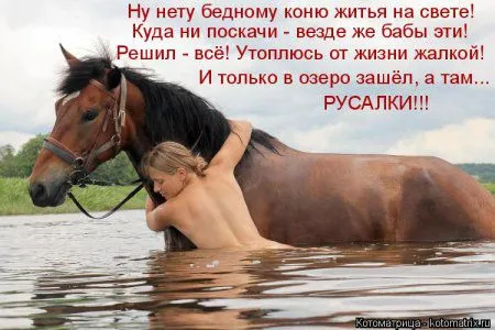 Котоматрицы, приколы с надписями про котов