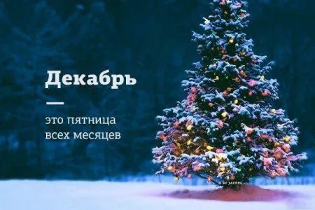 Коту котлетку, тебе фото приколы
