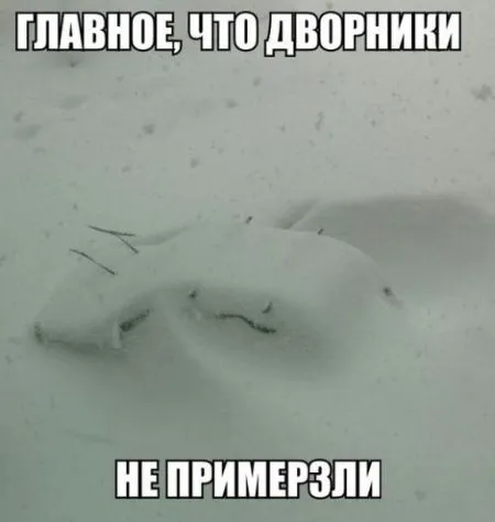 Есть новые фото приколы, заходи