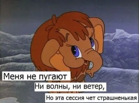 Есть новые фото приколы, заходи
