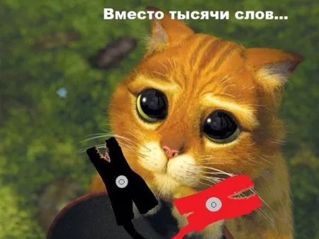 Автомобильные приколы от 7-12-2014