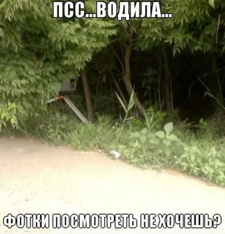 Автомобильные приколы от 7-12-2014