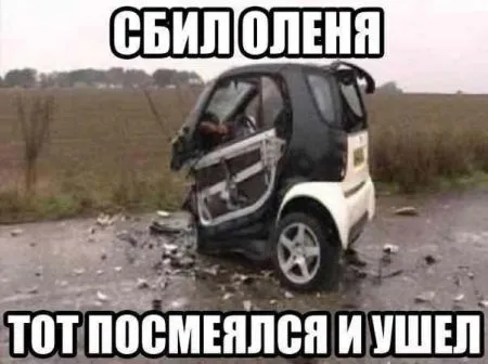 Автомобильные приколы от 7-12-2014