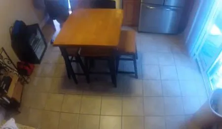 Чем занимается пес без хозяев