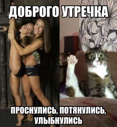 Заходи фото прикольчики посмотри