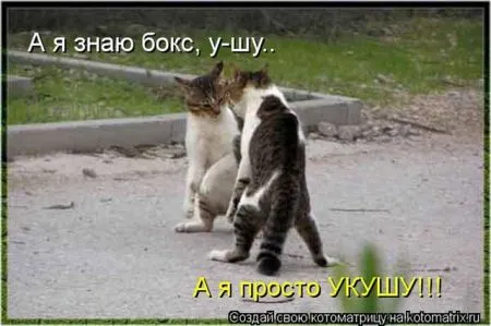 Позитивные прикольные зверушки