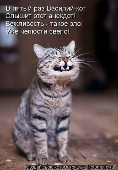 Позитивные прикольные зверушки