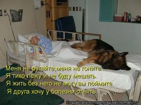 Позитивные прикольные зверушки