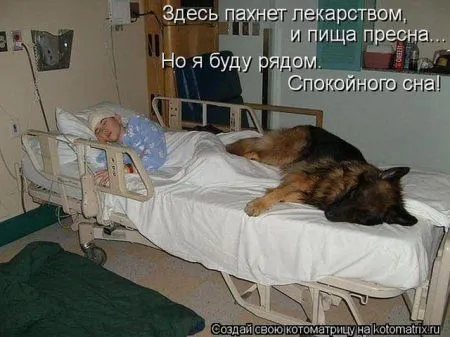 Позитивные прикольные зверушки