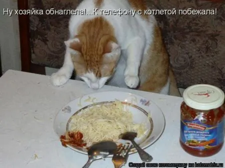 Позитивные прикольные зверушки