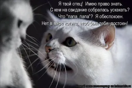Позитивные прикольные зверушки