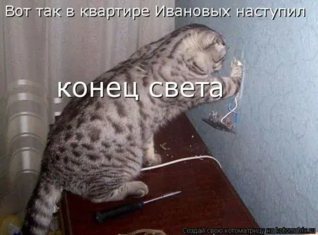 Позитивные прикольные зверушки