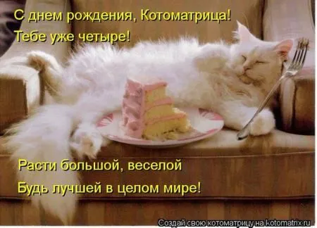Позитивные прикольные зверушки