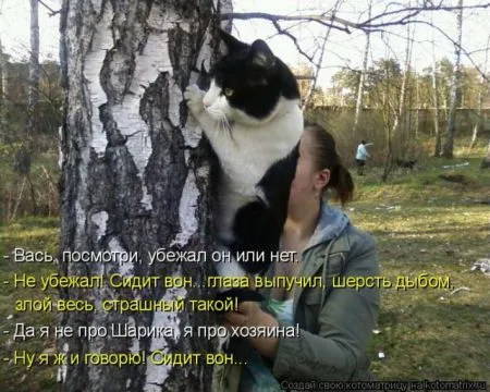 Позитивные прикольные зверушки