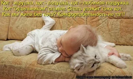Позитивные прикольные зверушки