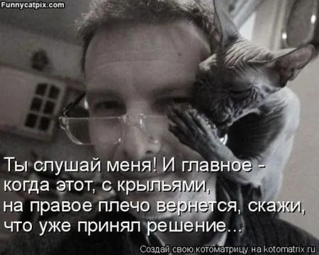 Позитивные прикольные зверушки