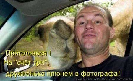 Позитивные прикольные зверушки