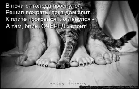 Позитивные прикольные зверушки