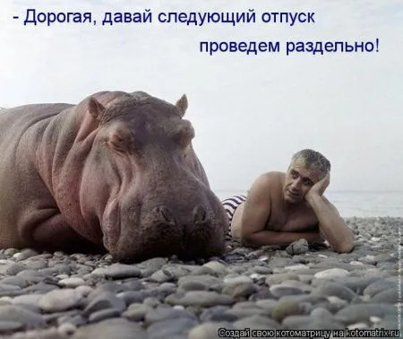 Позитивные прикольные зверушки