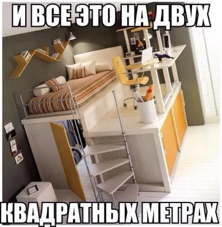 Коту котлетку, тебе фото приколы