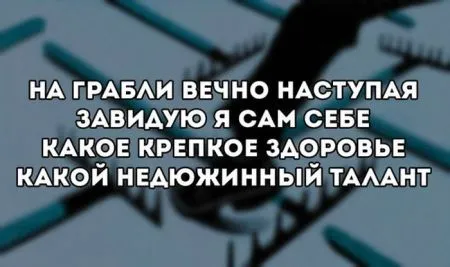 Коту котлетку, тебе фото приколы