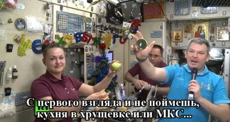 Коту котлетку, тебе фото приколы