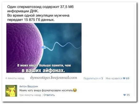 Весельчаки в соц сетях сегодня пишут