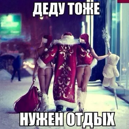 Смешные фото приколы приближают Новый Год
