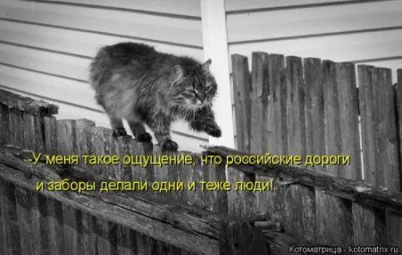 Новогодняя котоматрица