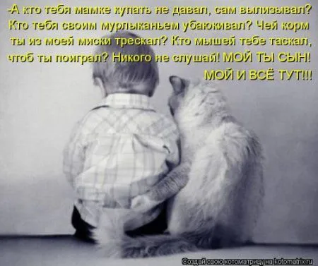 Новогодняя котоматрица