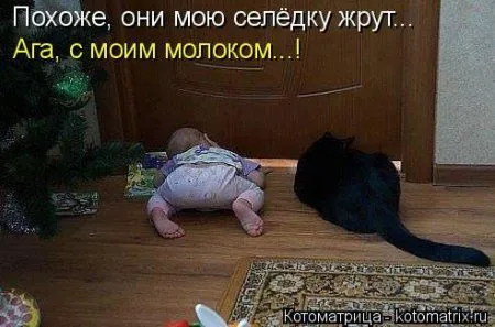 Новогодняя котоматрица
