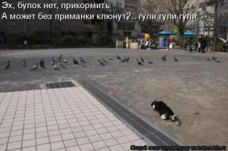 Новогодняя котоматрица