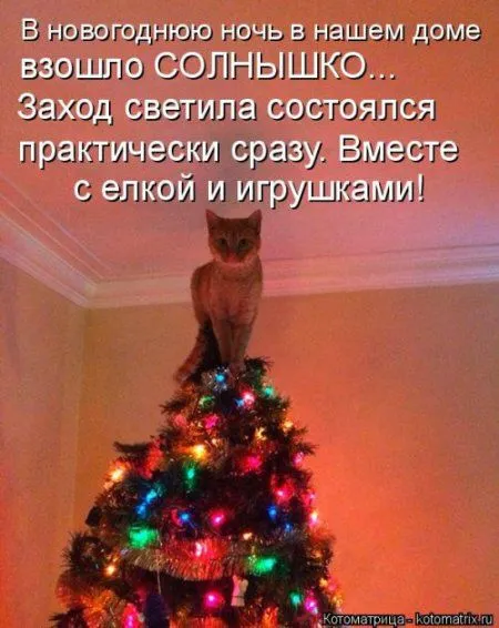 Новогодняя котоматрица