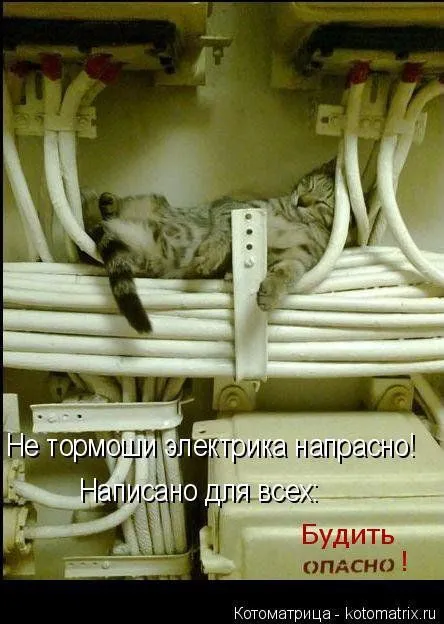 Новогодняя котоматрица