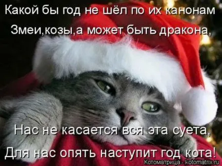 Новогодняя котоматрица