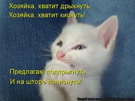 Новогодняя котоматрица