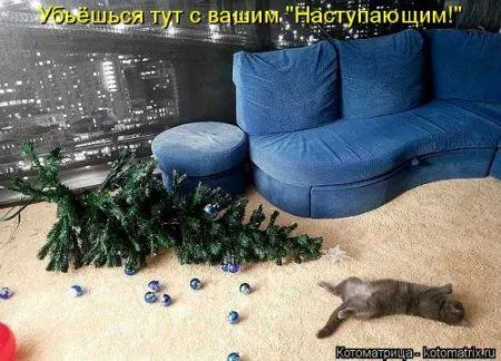 Новогодняя котоматрица