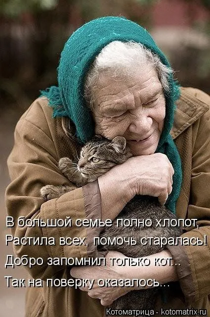 Новогодняя котоматрица