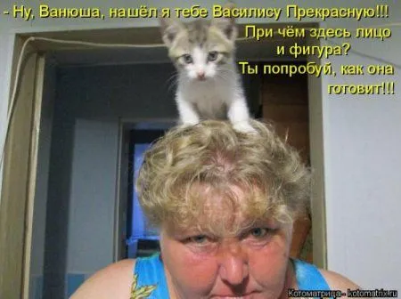 Новогодняя котоматрица