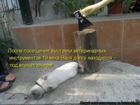Новогодняя котоматрица