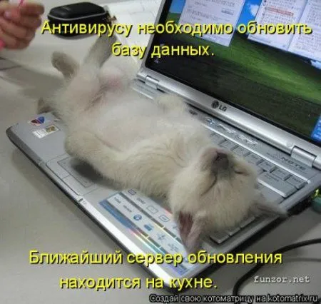 Новогодняя котоматрица