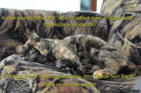 Новогодняя котоматрица