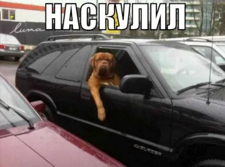 Автомобильные приколы (25 фото)