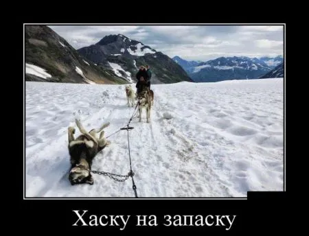 Демотиваторы чтобы ты не скучал