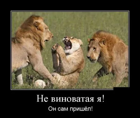 Демотиваторы чтобы ты не скучал
