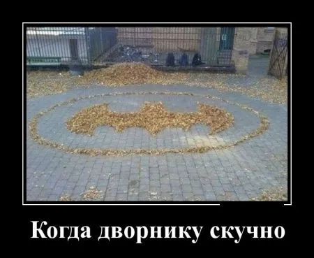 Демотиваторы чтобы ты не скучал