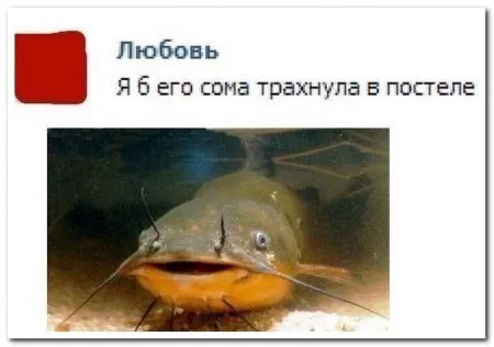 Смешные комментарии из социальных сетей (27 фото)